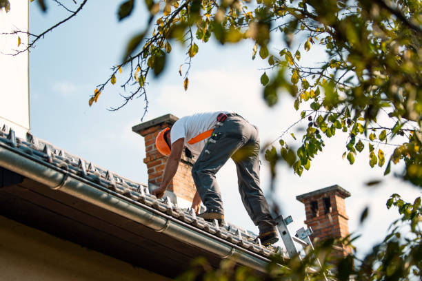 Professional Roofing in St Louis, MI