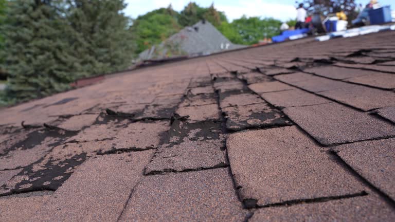 Best Hot Roofs  in St Louis, MI