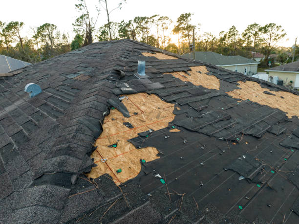 Best Slate Roofing  in St Louis, MI